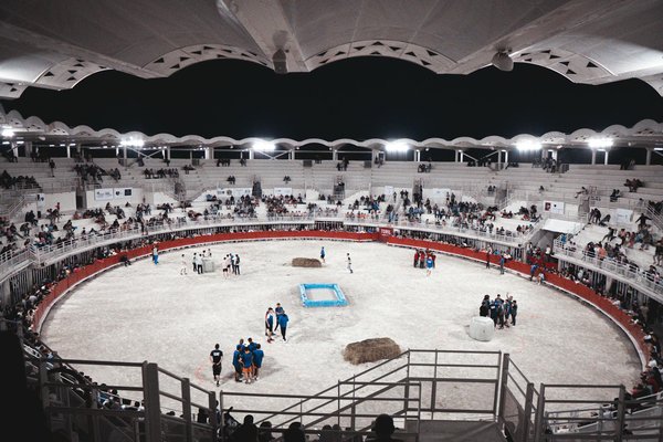 Quels sont les bienfaits du combat national sur la santé ?